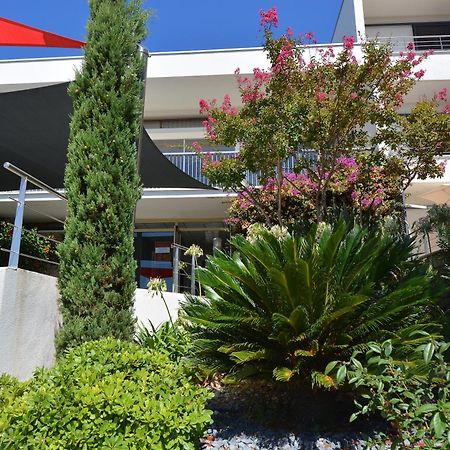 Hotel Les Eucalyptus Porto Pollo Eksteriør bilde