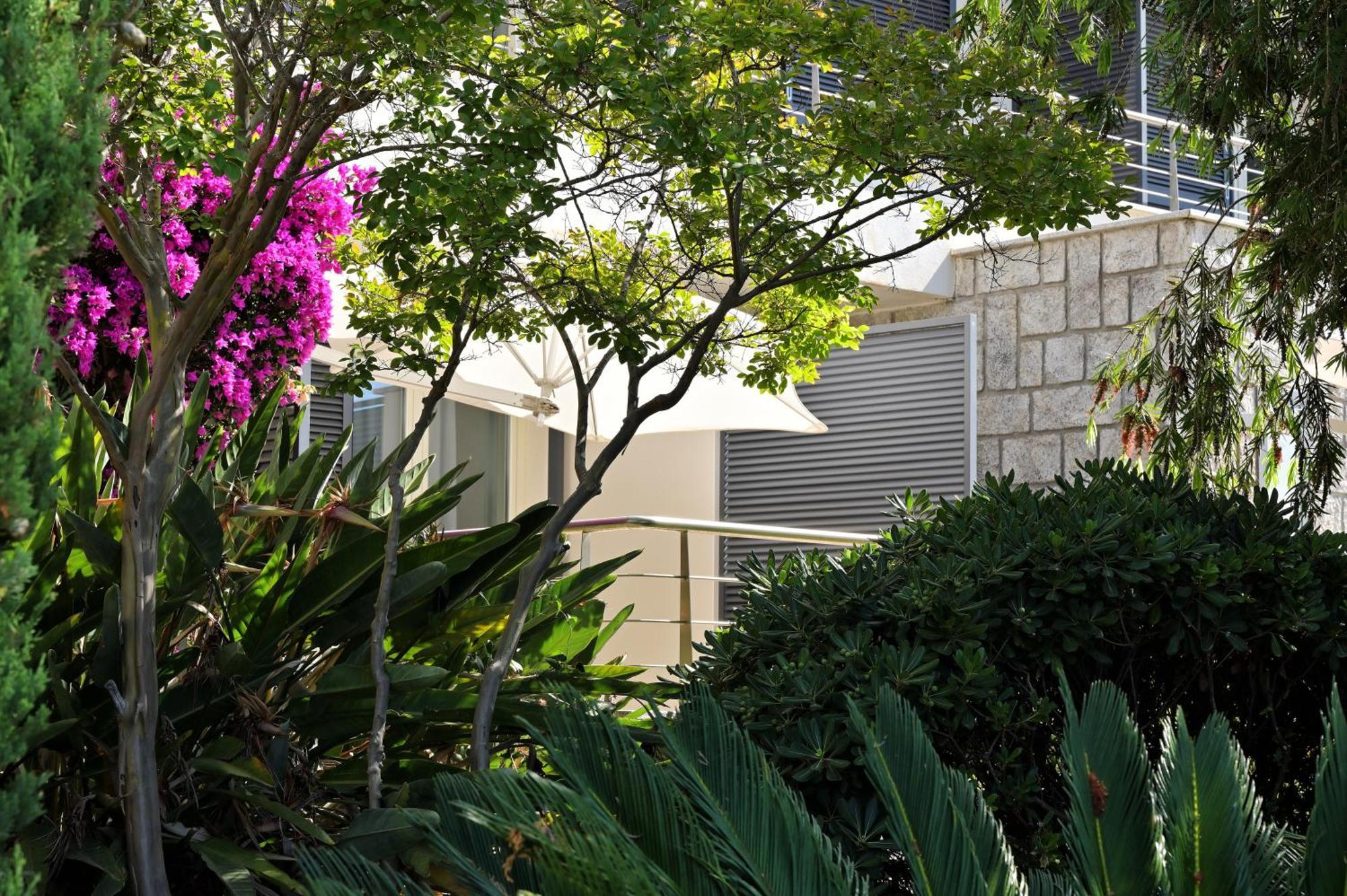 Hotel Les Eucalyptus Porto Pollo Eksteriør bilde